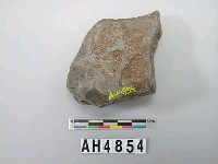 藏品(石塊)的圖片